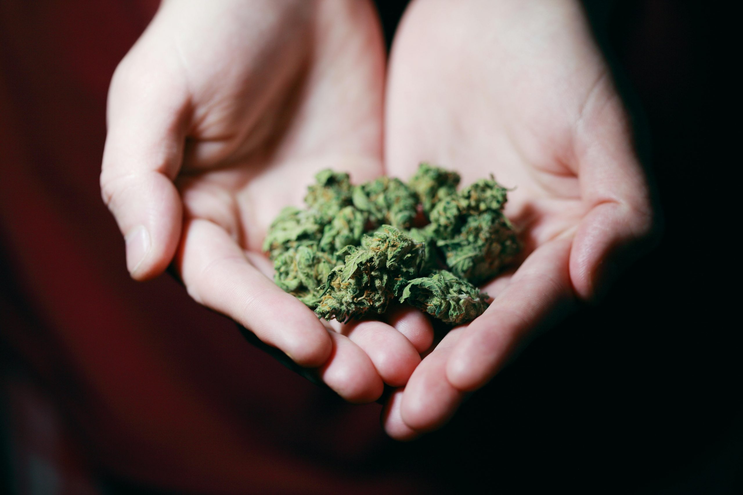 Rattenberg: Cannabis im Überraschungsei – 40-Jähriger ermittelt